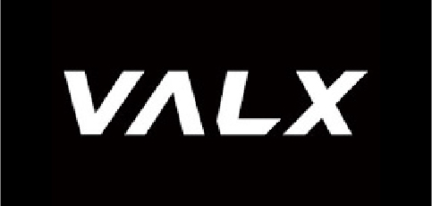 VALX株式会社